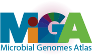 MiGA logo